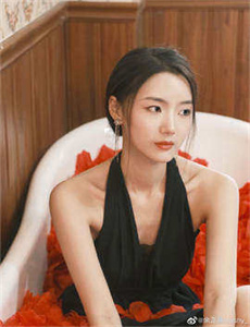 施公奇案2