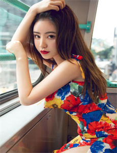 贝瓦儿歌之动物儿歌