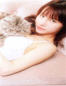 猜猜谁来吃晚餐